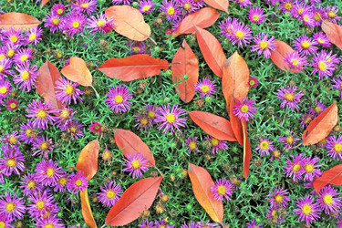 Similar image 823003