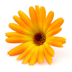 Similar image 823019