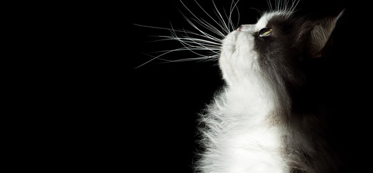 Similar image 823029