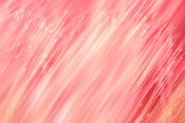 Similar image 823082