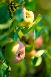 Similar image 823084