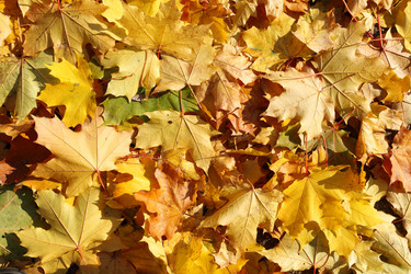 Similar image 823153