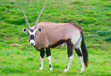 Similar image 823166