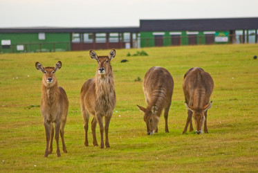 Similar image 823167