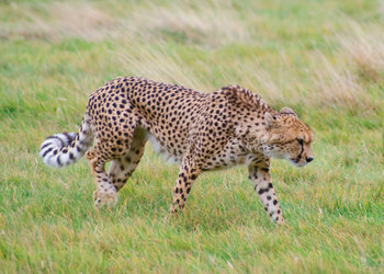 Similar image 823181