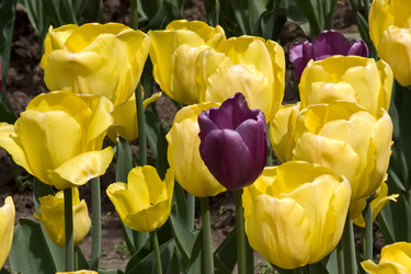 Similar image 823393