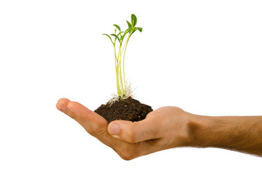 Similar image 823433