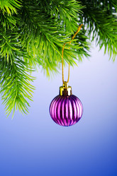 Similar image 823558