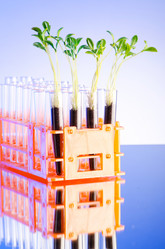 Similar image 823670