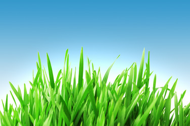 Similar image 823676