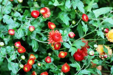 Similar image 823689