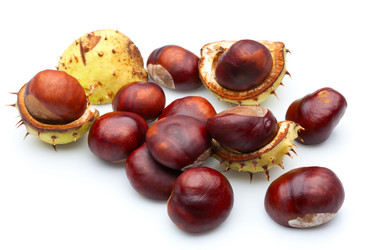 Similar image 823736