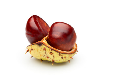 Similar image 823738