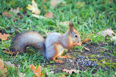 Similar image 823750