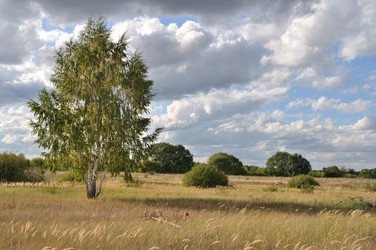 Similar image 823764