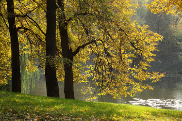 Similar image 823771