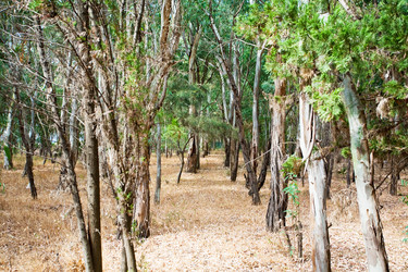 Similar image 823787