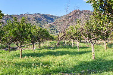 Similar image 823794