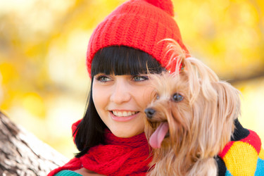 Similar image 823801