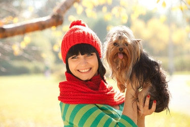 Similar image 823804