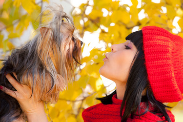 Similar image 823840