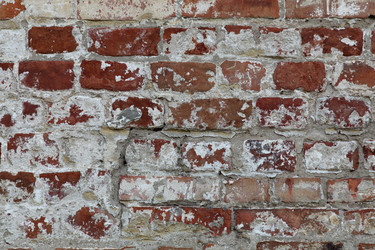 Similar image 823853