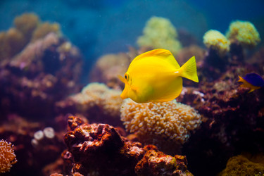 Similar image 823857