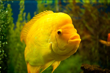 Similar image 823858