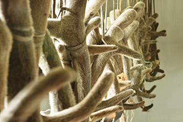 Similar image 823924