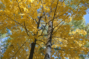 Similar image 823966