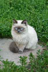 Similar image 824030