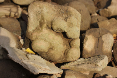 Similar image 824032