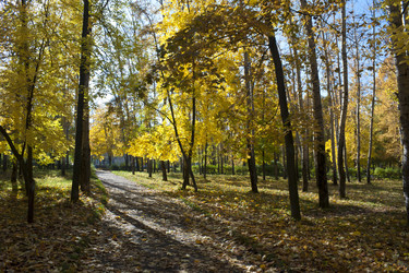 Similar image 824036