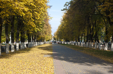 Similar image 824037