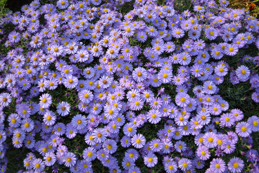 Similar image 824063