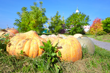 Similar image 824096