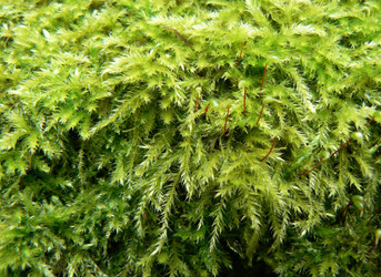 Similar image 824136