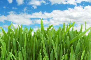 Similar image 824155