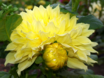 Similar image 824156