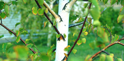 Similar image 824171