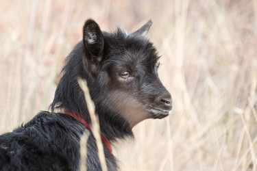 Similar image 824192