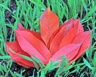 Similar image 824235