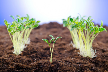 Similar image 824256