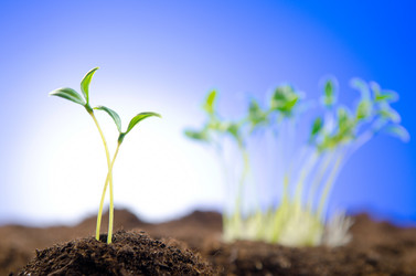 Similar image 824258