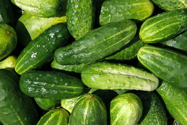 Similar image 824262