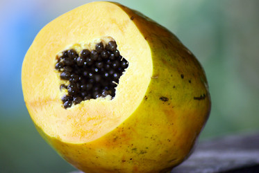 Similar image 824264