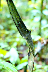 Similar image 824288