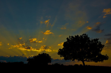 Similar image 824294