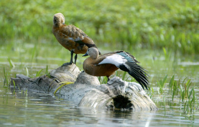 Similar image 824307