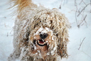 Similar image 824312